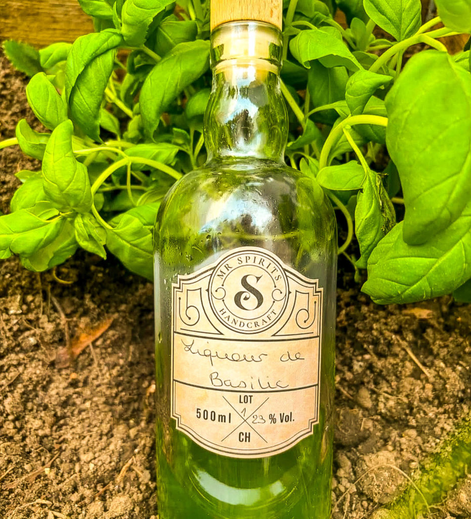 Liqueur artisanale de basilic Mr Spirits, création suisse originale